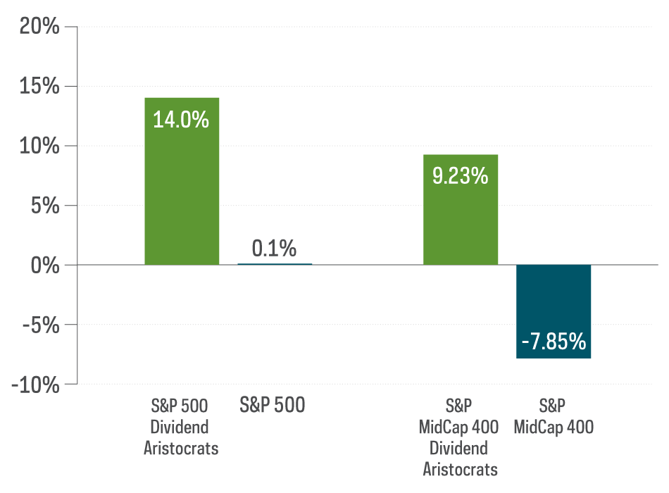 Chart shows the generally declining rate of dividend growth among large-cap stocks since 2012, with data from 1/1/08—12/31/20.