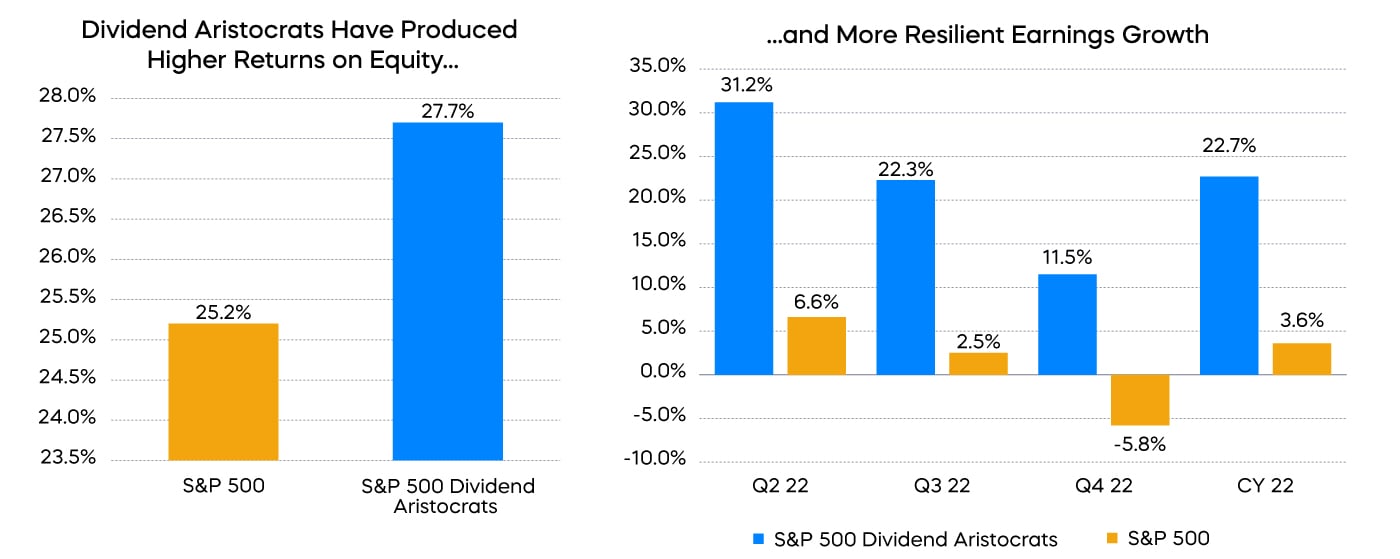 Dividend Aristocrats Produced Higher Returns on Equity.....and More Resilient Earnings Growth 